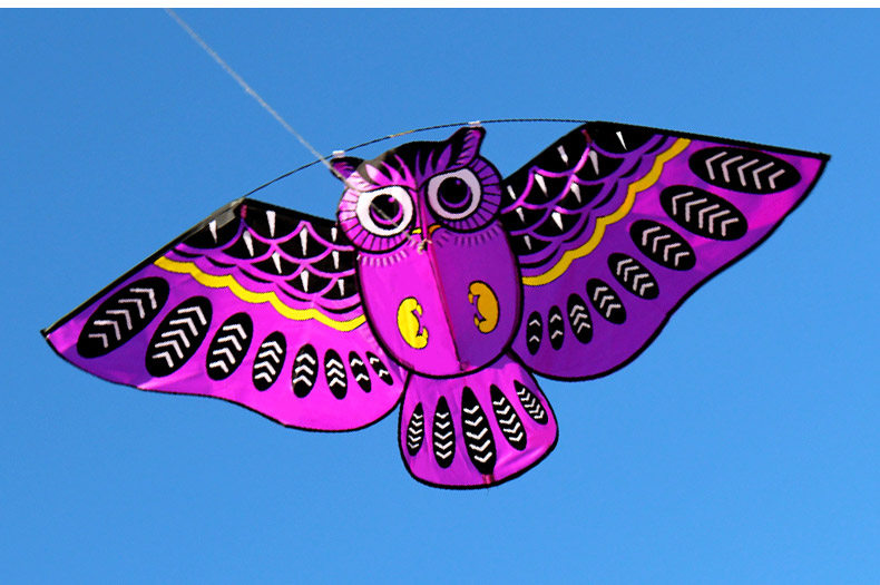 潍坊风筝鸟类风筝猫头鹰风筝 新款成人儿童卡通风筝线轮微风易飞