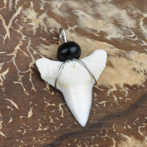 Cow new style net poly features DlY necklace Collar Shark bone tooth necklace Mens and womens personality pendant jewelry gifts