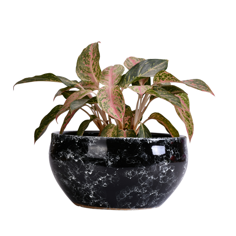 Large diameter ceramic flower pot basin of extra Large sitting room money plant trees wholesale contracted color air mail flowerpot pack