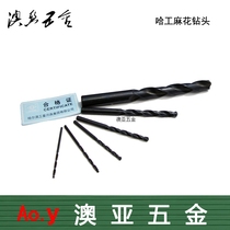 Kazakhstan straight shank twist drill bit HSS high-speed steel Kazakhstan drill bit Kazakhstan twist drill angle iron drill bit Wood super hard