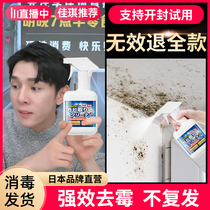 Japanese Wall Wall Wall Removing Mildew white wall to mold moldy spray moulting to remove the wall to mold the mycorde household