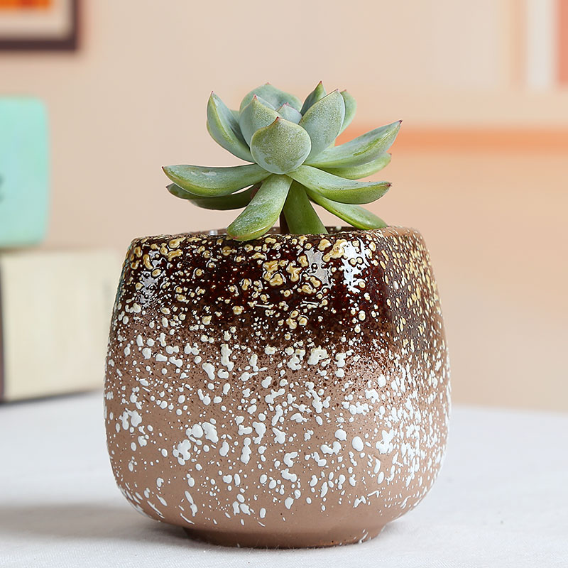 Snowflakes glaze meaty plant flower pot coarse pottery violet arenaceous breathable old running the desktop ceramic hand knead plastic large flower pot