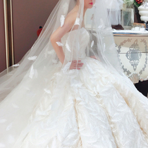 Gelixuan feather veil bride wedding dress tiara Princess accessories comfortable soft yarn 3 m veil tailing