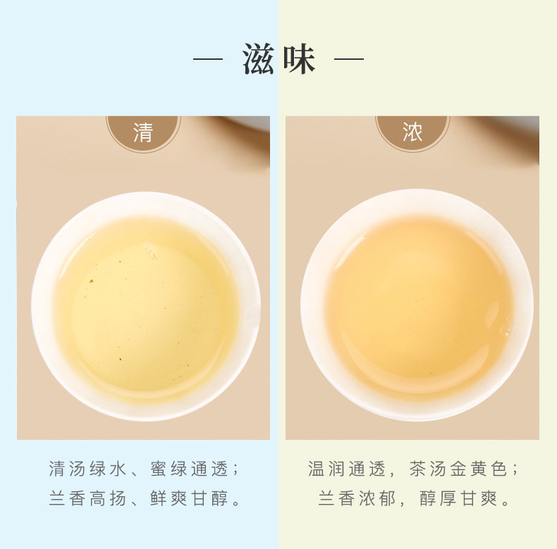 海峡红新茶铁观音250g*2盒