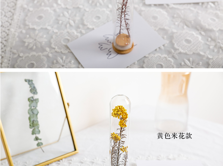 玻璃花束许愿试管花植物标本干花花瓶装饰摆件送生日圣诞礼物