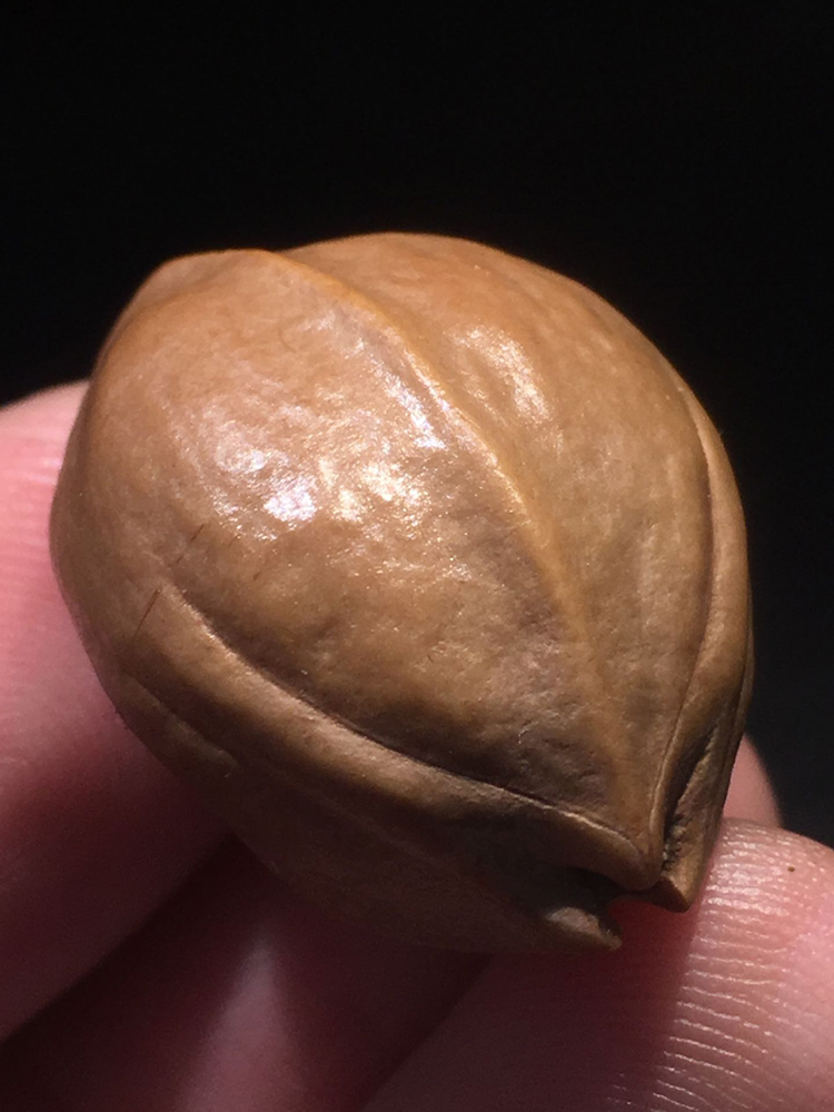 梅林铁核橄榄核雕橄榄胡雕素核素串素珠铁头核橄榄胡手串原料