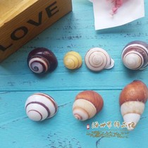 Left-handed right-handed jade snail specimen conch natural shell drift bottle diy home decoration fish tank landscape decoration