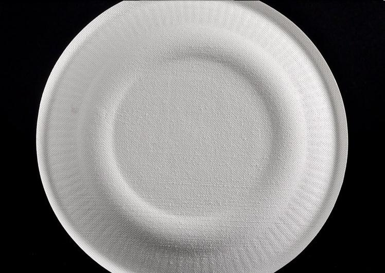 一次性加厚白色纸盘子纸碟纸碗蛋糕盘手工绘画画纸盘烧烤餐盘包邮