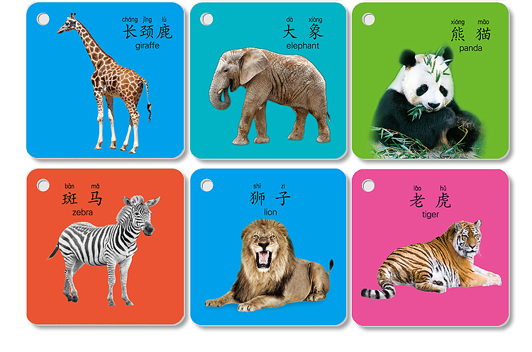 宝宝认人物卡片儿童早教闪卡幼儿看图识物卡认识动物水果蔬菜玩具