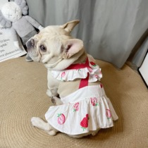 Dog princess skirt clothes summer thin section Teddy Fadou sexy skirt pet summer strawberry vest skirt