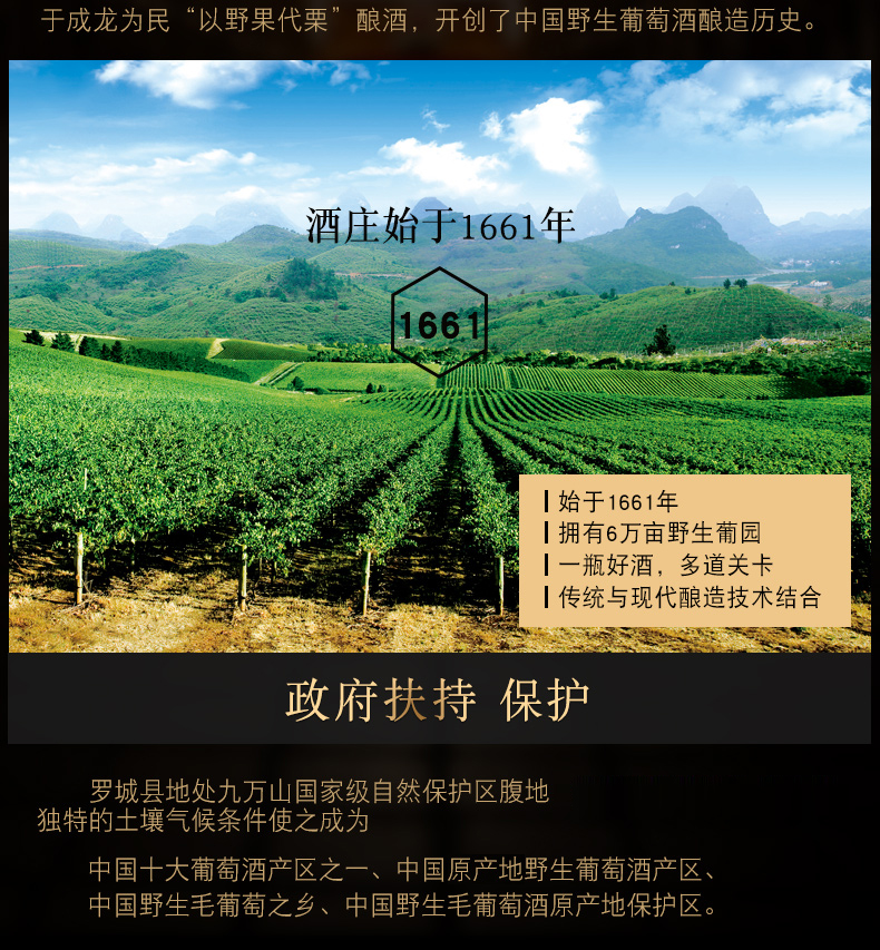 详情