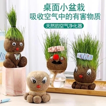 Grass dolls Childrens planting pot grow grass hydro green nursery to observe growth gift DIY small swing