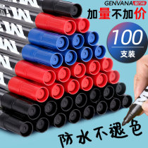 Golden Wannian annual note pen not erasable WOODWORK LOGISTICS EXPRESS TAKEAWAY SPECIAL PEN PLUS COARSE BLUE ANTI-OIL COARSE MARK PEN STOCK FLOW BLACK WATERPROOF NOT DROPPING COLOR COARSE HEAD OIL BULK PEN LARGE CAPACITY