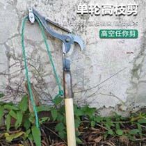 Send a rope High altitude Cut fruit branches Scissors High Branches Cut Branches Cut of branches Scissors Branches Trim off Fruit Seminators High Altitude