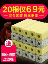 Bacteria House Filter Nano Biochemical Fungus House Aquarium Bottom Filter Fish Tank Filter Material Nitrobacteria Quartz Ceramic Ring