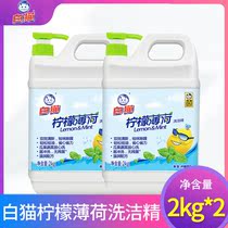 White Cat Wash & Finish Large Bucket Home Press Bottle Kitchen Dishwashing fruits and vegetables Home Loaded Lemon Mint 2kg * 2 bottles