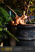 Orgema Bronze Seiko Gold Toad Send Fortune Town House Toad Orbit Toad Orbit Little Toad Milk Frog Special