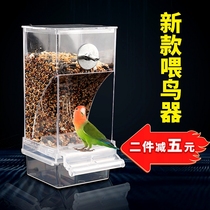 Tiger Skin Phoenix Tree Peony Parrot Bird Food Box Anti-Splash Bird Use Automatic Feeders Transparent Feeder Feeders