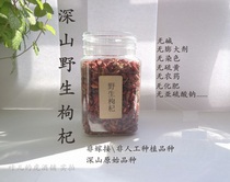 New picking deep mountain wild Wolfberry