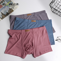 Xuan Liang 3-bar panties mens modal ice silk summer thin breathable loose oversized boxer boxer toe