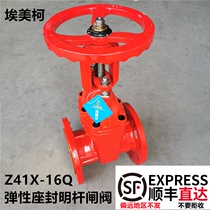 EMEKO Elastic Sealed Gate Valve Z41X-16Q Cast Iron Flange Hole Soft Seal Rubber Flange Gate Valve 9152
