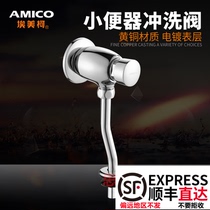 Emico urine Flushing Valve BC5 all copper delay buffer autistic 4 sub service area hotel project dedicated