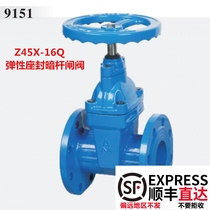 Ningbo Emeko elastic seat seal gate valve Z45X-16Q cast iron flange dark Rod seat seal soft seal gate valve 9151