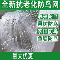 Anti-bird net Orchard anti-bird net Fruit tree anti-bird net Nylon net Grape net protective net weighing and selling by catty