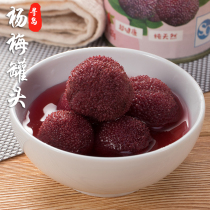 Canned Bayberry fruit Canned local flavor fresh fruit without adding preservative 425g * 1