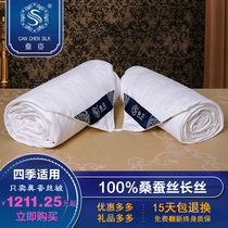 Tongxiang pure handmade silk quilt 100% mulberry silk two-in-one mother quilt core net weight 2 3kg winter warm comfort type
