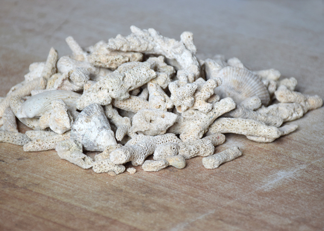 好韵水族:珊瑚石鱼缸过滤材料珊瑚骨珊瑚沙珊瑚礁底砂