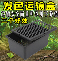 Tortoise live delivery box breeding hair color box reptile Spider horned frog turtle tank drying table deep water seedling plastic land
