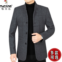 Woodpecker winter new wool coat mens coat middle-aged loose coat top business casual thickening