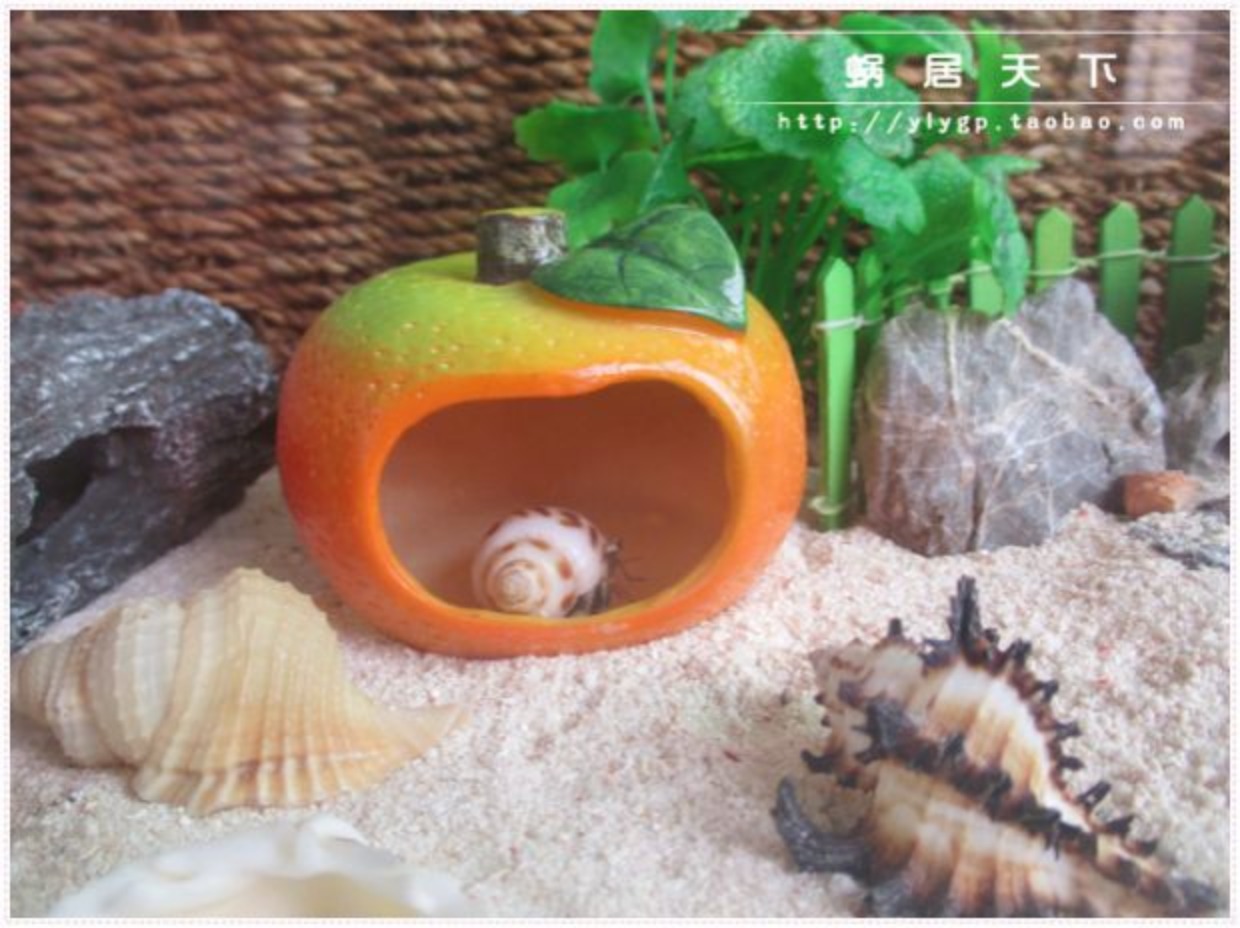 【橘子屋-蜗居天下】寄居蟹躲避窝小房子躲藏洞穴 饲养箱造景装饰