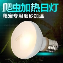 Warming lamp Solar Sand lamp Hedgehog Horned frog Reptile Climbing pet box Lizard Palace Guard Tortoise Snake Spider Python Sun Lamp
