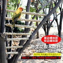 Bird stand Tree branches Bird supplies Parrot starling thrush Bird stand stick stand stand grinding claws grinding teeth stick mouth Bird cage accessories