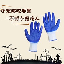 Anti-bite gloves Hamster supplies Children Children students Cute anti-scratch hamster Chinchilla Dutch pig tools