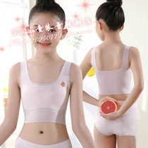 Hong Kong girls underwear development stage Girls Junior high school students High school students bandeau childrens bra Primary school students vest
