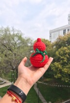 Handmade DIY crochet knitting wool doll doll doll red gourd graphic tutorial non-finished product