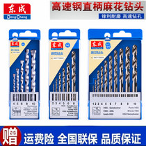 Dongcheng power tool accessories high-speed steel straight handle twist drill set construction impact drill alloy drill set
