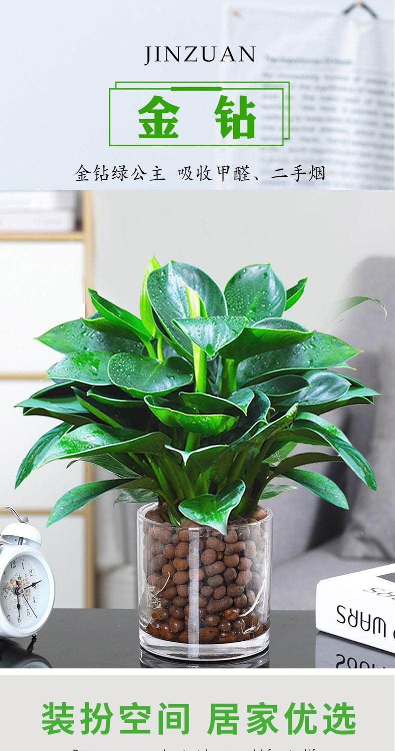 gm6WifKnzdTvlDvRUnfScy7VydGtGrXsLOO2