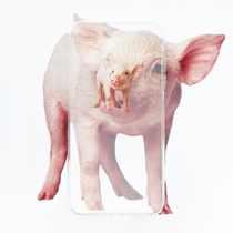 SUN VAGARIES PIGGY iphone MAX 11Pro Huawei All-inclusive transparent phone case