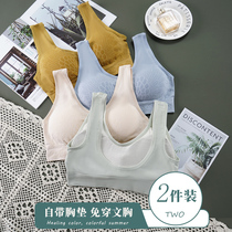 Beauty back vest Net red underwear female girl wrap chest sling chest sling thin summer anti-light bra