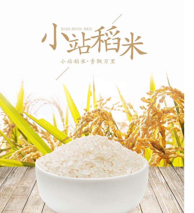 天津正宗小站米2018年新米香米珍珠米粳米圆粒米优选大米5kg10斤_虾条