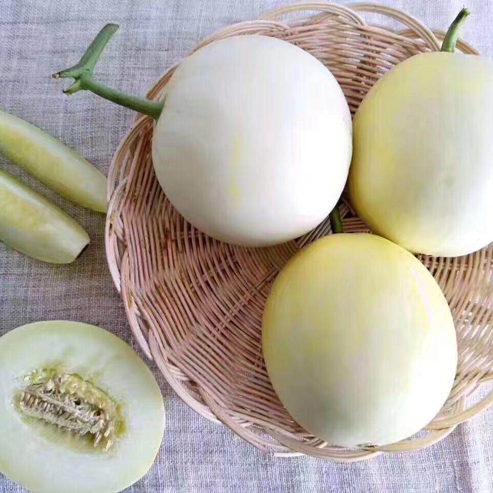 新鲜水果 阎良甜瓜5斤