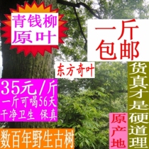 Qingqian Willow leaf 500g Wild ancient tree Qingqian Willow tea Original leaf willow leaf can be paired with guava Qingqian willow leaf