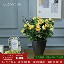 High imitation flower rose plus bottle fake flower Pastoral single white silk flower High-grade decoration living room fake flower decoration pieces