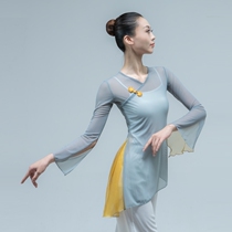 New classical dance practice suit Female modern dance adult teacher Ballet platform performance dance practice suit gauze