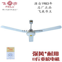 Feilu General Factory 48-inch 56-inch ceiling fan Wang Quan copper iron leaf stainless steel AC engineering hanging electric fan