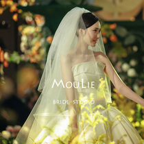 Veil bride main wedding dress high-end luxury heavy industry long tail big stomach Alice with the same veil handmade customization